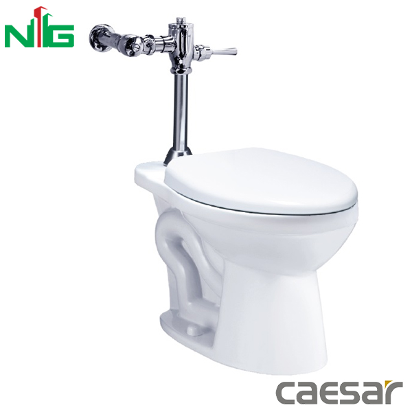 Bồn Cầu Xả Gạt Tay CAESAR CP1333 + BF521A