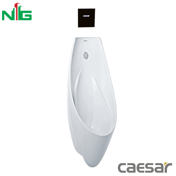 Bồn Tiểu Nam Treo Tường CAESAR U0266