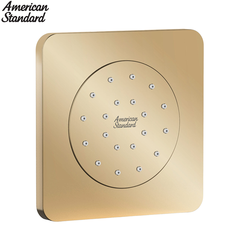 Đầu Sen Âm Tường American Standard FFASS054CS