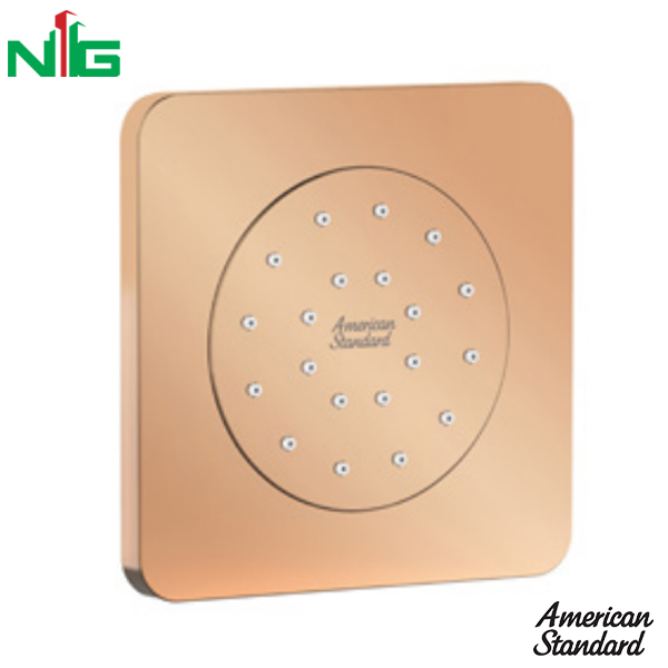 Đầu Sen Âm Tường American Standard FFASS054WS