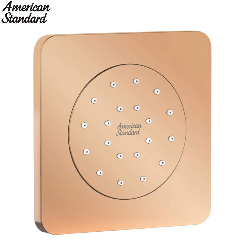 Đầu Sen Âm Tường American Standard FFASS054WS