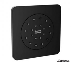 Đầu Sen Âm Tường American Standard FFASS054MB