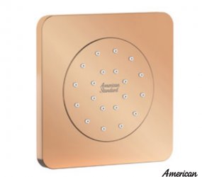 Đầu Sen Âm Tường American Standard FFASS054WS