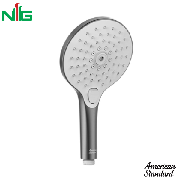 Tay Sen American Standard WF-9H11HG