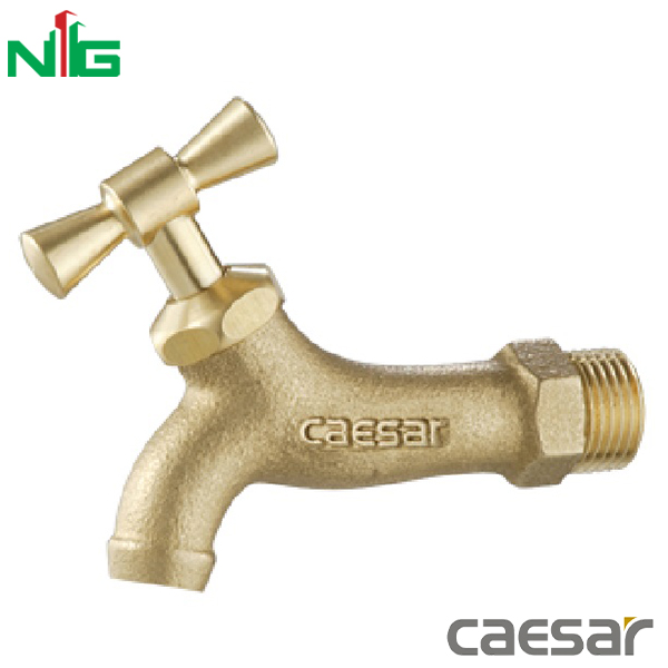 Vòi Lavabo Lạnh Gắn Tường CAESAR W035