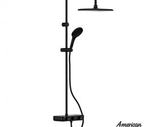 Sen Cây Nhiệt Độ American Standard WF-4955MB