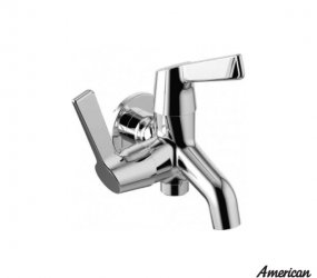 Củ Sen Lạnh Gắn Tường American Standard WF-T603