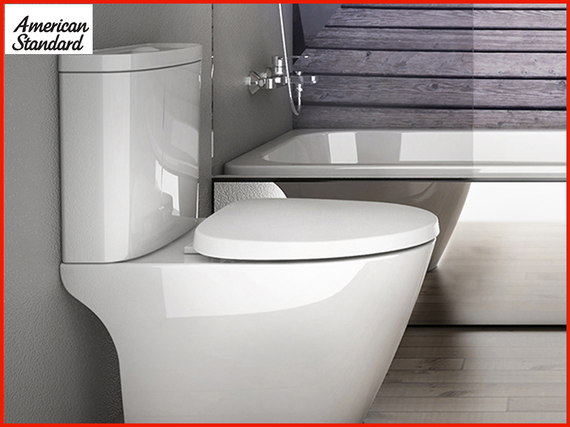 mot-so-luu-y-khi-lap-dat-bon-cau-2-khoi