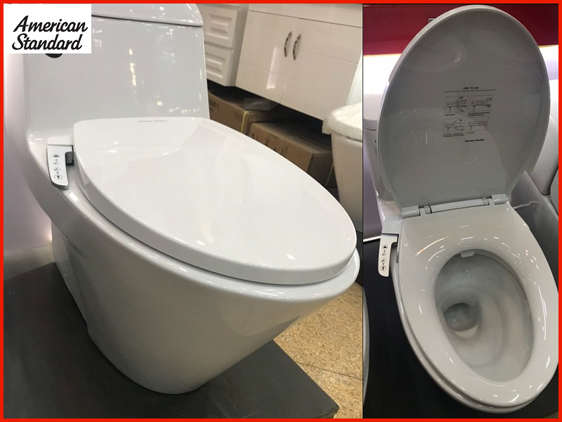 hinh-anh-thuc-te-nap-rua-co-american-standard-cscfa650