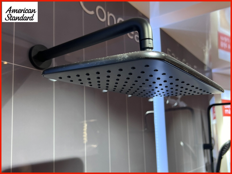 dac-diem-noi-bat-cua-bat-sen-phun-mua-american-standard