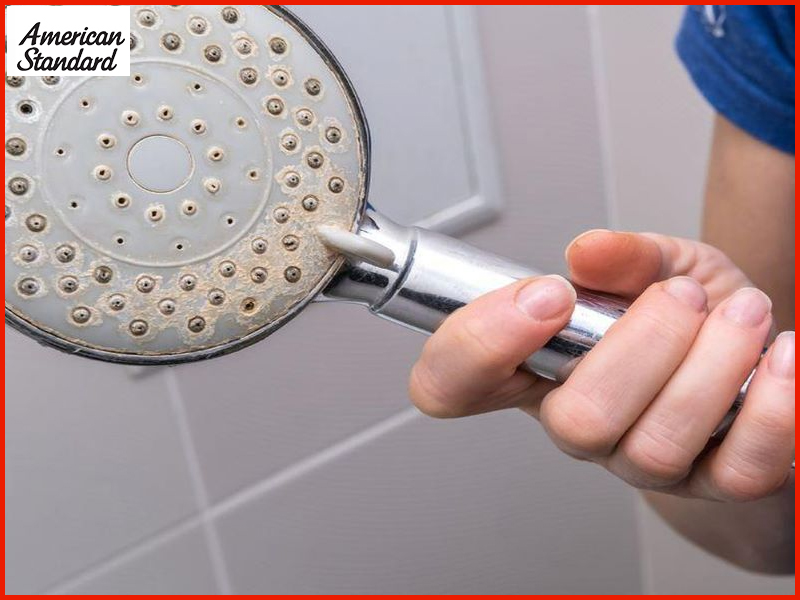 cach-bao-quan-ve-sinh-voi-sen-nong-lanh