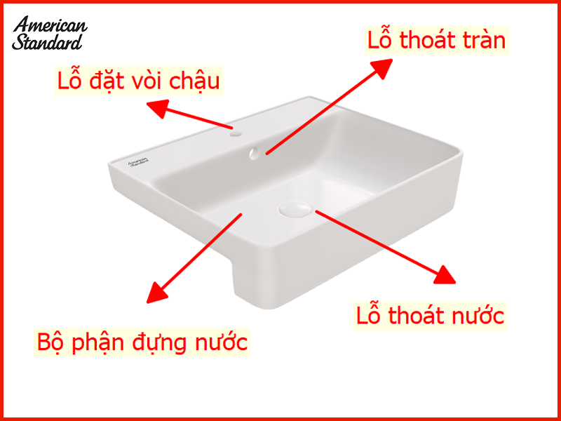 cau-tao-cua-lavabo-ban-am-ban-american-standard
