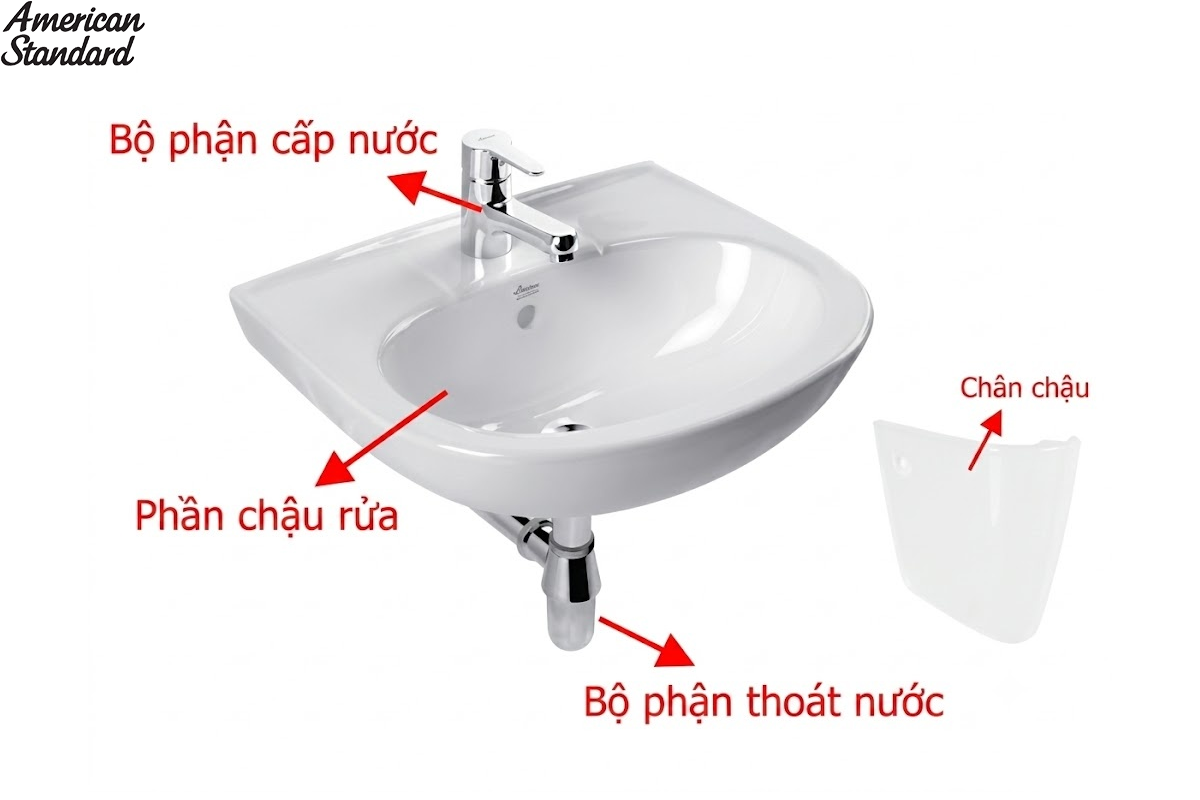 cau-tao-cua-lavabo-treo-tuong-american-standard